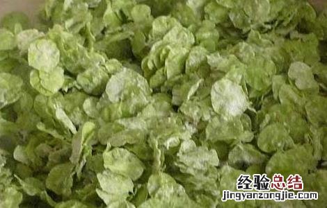 榆钱饭的功效及做法 榆钱饭的功效及做法视频