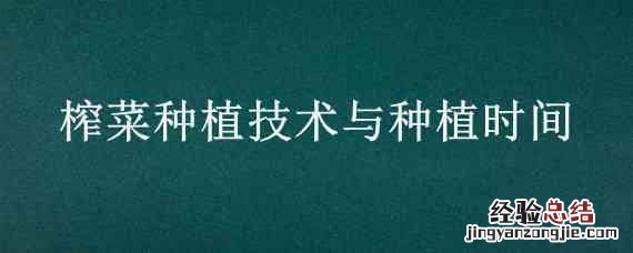 榨菜种植技术与种植时间 榨菜种植在几月份及种植方法