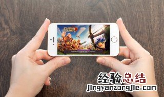 梦想新大陆宠物装备怎么取下来 梦想新大陆宠物在哪抓
