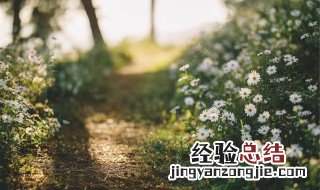 甘于奉献不计较得失的经典句子 甘于奉献不计较得失的经典语录