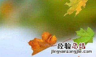 树高千丈叶落归根为什么? 树高千丈落叶归根还是树高百尺落叶归根