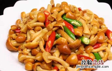滑子菇的家常做法大全 干货滑子菇的家常做法