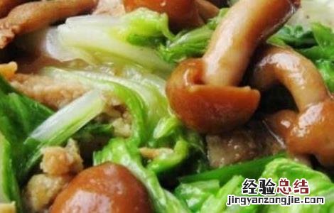 滑子菇的家常做法大全 干货滑子菇的家常做法