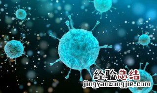 中间宿主是什么意思 答案看下面