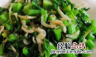 虾皮盖菜如何做 虾皮盖菜的做法