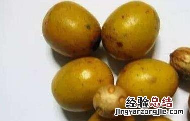 南酸枣的营养价值 南酸枣的功效与作用有哪些