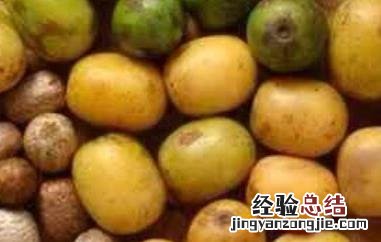 南酸枣的营养价值 南酸枣的功效与作用有哪些