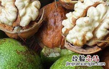 野核桃皮的功效与作用及禁忌症是什么 野核桃皮的功效与作用及禁忌