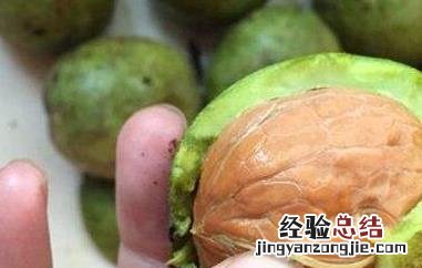 野核桃皮的功效与作用及禁忌症是什么 野核桃皮的功效与作用及禁忌