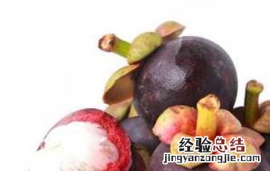 山竹皮泡盐的功效与作用 山竹皮泡盐的功效与作用是什么