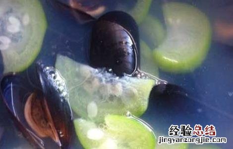 淡菜汤的功效及做法视频 淡菜汤的功效及做法