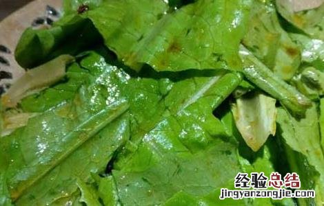 炝拌油麦菜的功效及做法 炝拌油麦菜的功效及做法视频