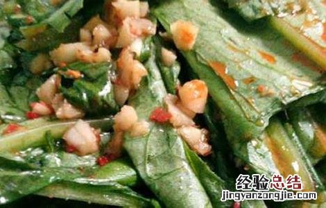 油麦菜做法大全窍门 油麦菜的家常做法大全