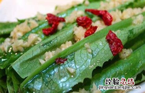 油麦菜做法大全窍门 油麦菜的家常做法大全