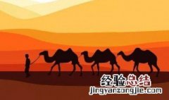 丝绸之路连接了哪几个大洲 这几大洲你要知道