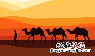 丝绸之路连接了哪几个大洲 这几大洲你要知道