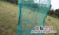 地笼里放什么诱饵最好 放地笼用什么诱饵在里面？
