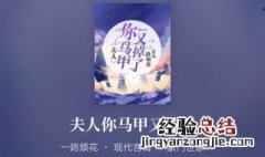 顾西迟秦苒是什么小说 小说内容简介