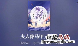 顾西迟秦苒是什么小说 小说内容简介
