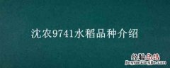 沈农988稻种 沈农9741水稻品种介绍