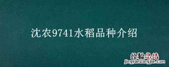 沈农988稻种 沈农9741水稻品种介绍