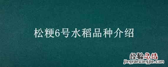 松粳6号水稻品种介绍 长粳6号水稻
