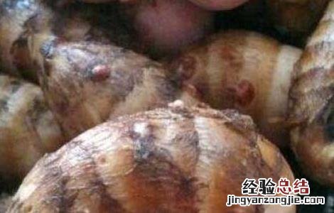 蒸芋头的功效及做法 蒸芋头的功效及做法大全
