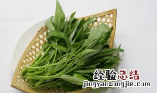 青菜汤怎么煮 青菜肉丝汤的做法