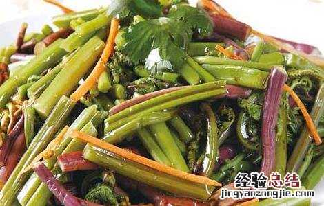 凉拌蕨菜的功效及做法窍门 凉拌蕨菜的功效及做法