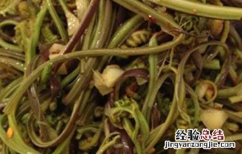凉拌蕨菜的功效及做法窍门 凉拌蕨菜的功效及做法