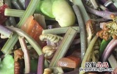 素炒蕨菜的功效及做法窍门 素炒蕨菜的功效及做法
