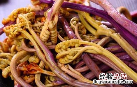 干蕨菜的家常做法大全视频 干蕨菜的家常做法大全