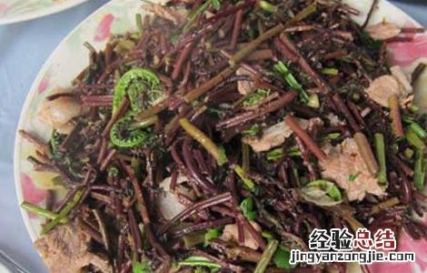 蕨菜炒肉的功效及做法 蕨菜炒肉的功效及做法窍门