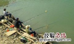 自制自动钓鱼器 你会吗