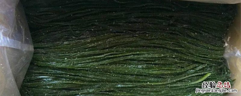 海带生长需要什么条件 海带种植方法和时间