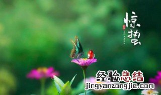 惊蛰以后野钓鲫鱼什么到方好 惊蛰节前后如何野钓鲫鱼