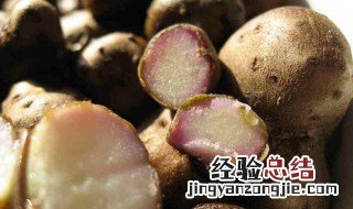 山药豆的吃法和功效 山药豆的吃法和功效是什么