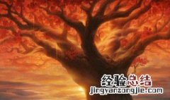 为什么湫说自己是天神 其实很简单