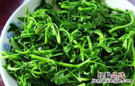 苜蓿怎么吃最营养 苜蓿怎么吃最营养呢