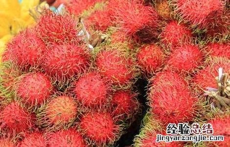 红毛丹怎么吃最好 红毛丹怎么吃最好呢