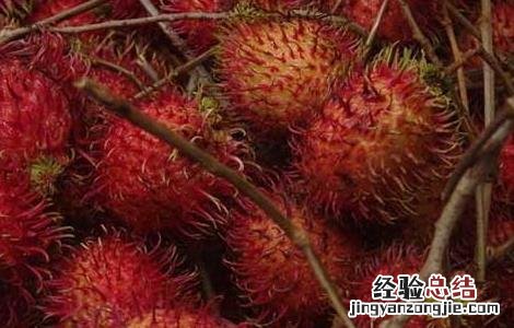 红毛丹怎么吃最好 红毛丹怎么吃最好呢