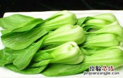 油麦菜怎么做好吃 油菜怎么做好吃