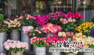 十大冥界之花的种类名称是什么 十大冥界之花有哪些