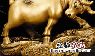 十大招财旺运宠物中哪些最好 最能招财旺财的植物有哪些
