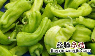 尖椒干豆腐怎么切 尖椒干豆腐的制作方法