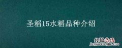 圣稻15水稻品种介绍 圣稻16品种简介
