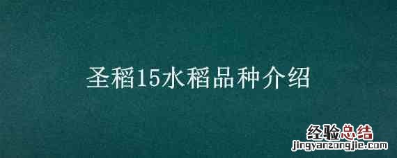 圣稻15水稻品种介绍 圣稻16品种简介