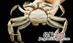 螃蟹粥怎么做给宝宝吃 螃蟹怎么做粥给小孩吃