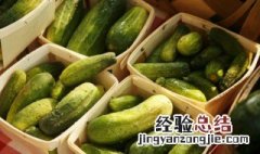 老黄瓜怎么拌好吃 好吃的凉拌老黄瓜的做法