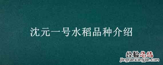 辽星1号水稻种 沈元一号水稻品种介绍